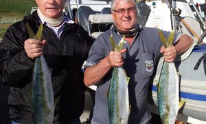 Birkenheaders tevrede